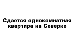 Сдается однокомнатная квартира на Северке